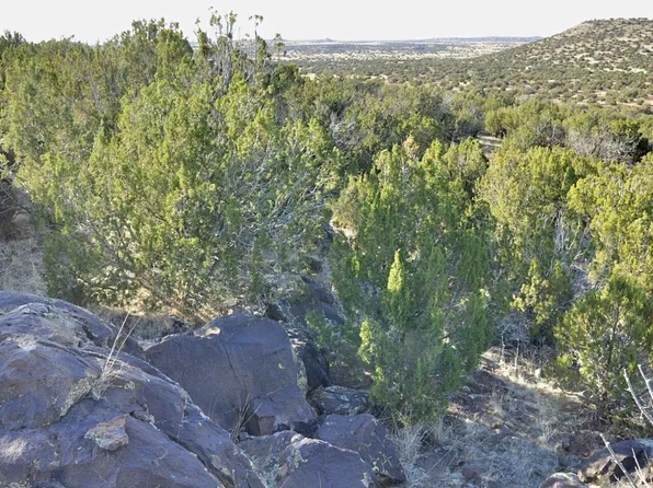13F Wagon Ln, Show Low, AZ 85901