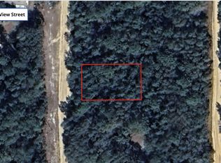 Louise Ave, Interlachen, FL 32148