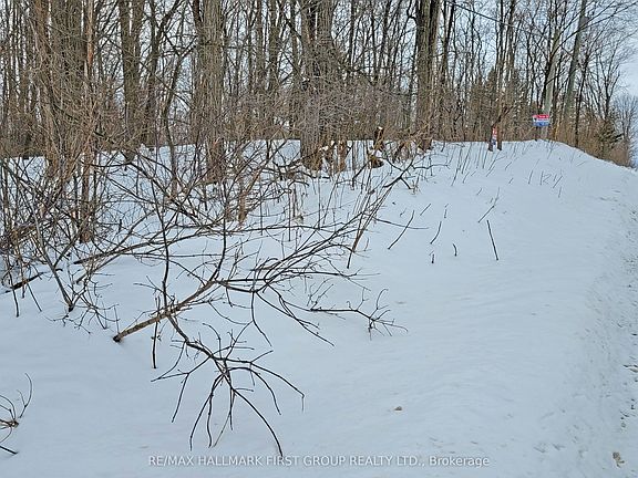 4th image of 207 Goodfellow Rd