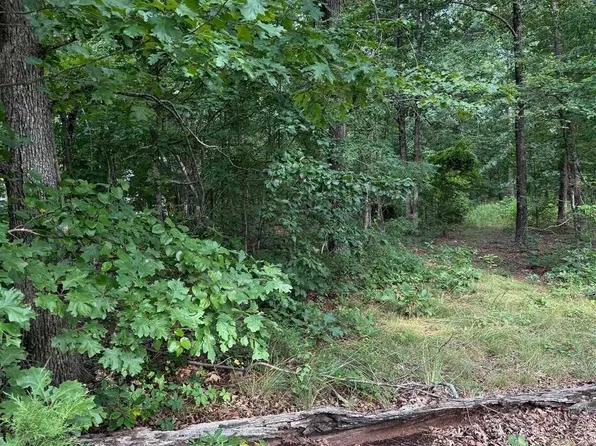 2830 Tiger B Rd, Drasco, AR 72530