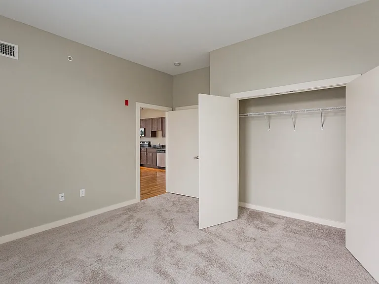 Bedroom and Closet