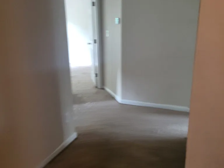 260 Chestnut Dr — Photo 19