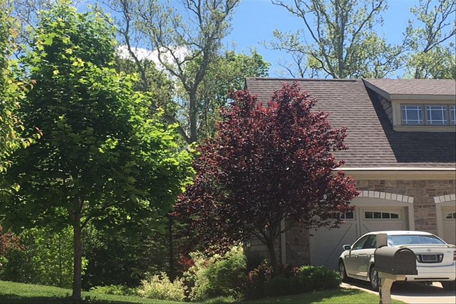 2nd image of 240 Hunter Woods Dr
