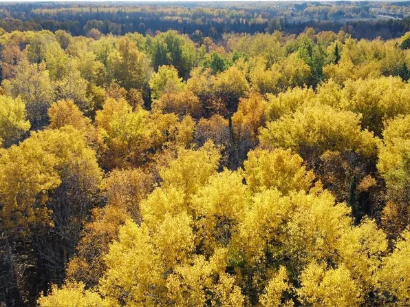 School Forest Rd, Cromwell, MN 55726