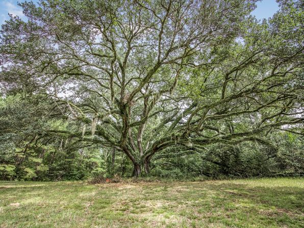 4847 Donegal Rd, Woodville, MS 39669