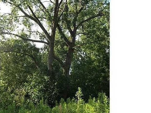 3rd image of 97 Lawrence Pl