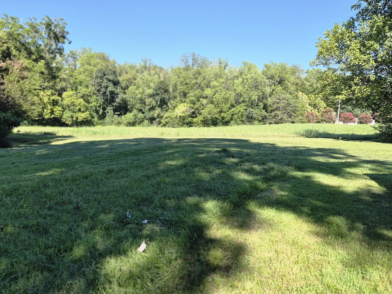 2 bed, 720 sqft, $1,100 — Photo 2