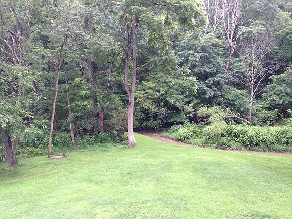 Creek and hillside at the rear of the property