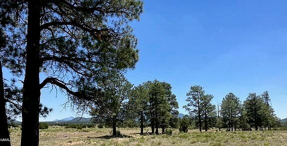 5th image of 5303 N Red Mountain Rd