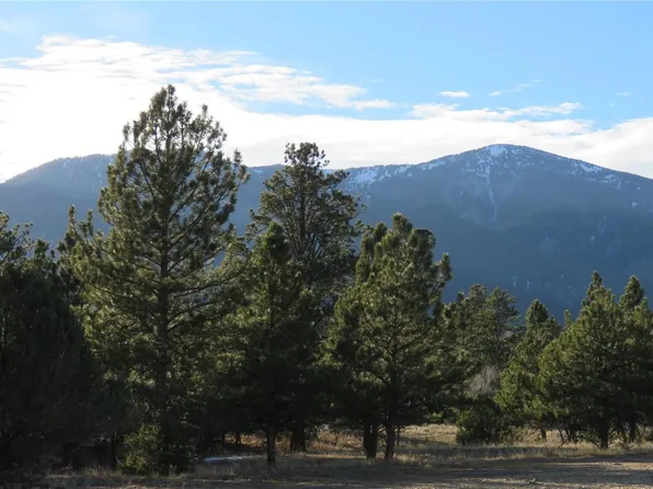 29267 Timber Ridge LOT 15, Buena Vista, CO 81211