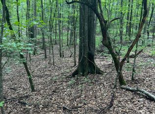 0 Raymond Rd, Hazlehurst, MS 39083