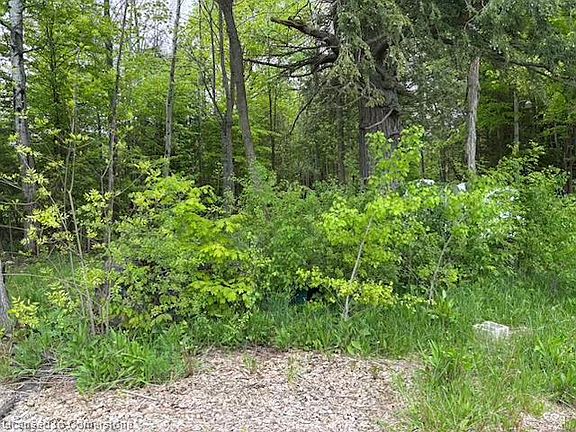 3rd image of 104264 Grey Rd #18