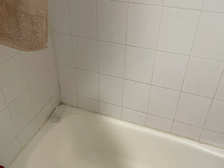 65 Chester St #B — Photo 42