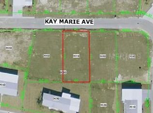 7824 Kay Marie Ave, Zephyrhills, FL 33541