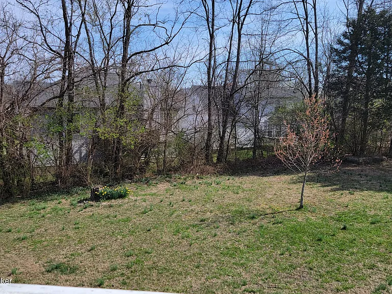 10313 Chimney Ridge Ct — Photo 30