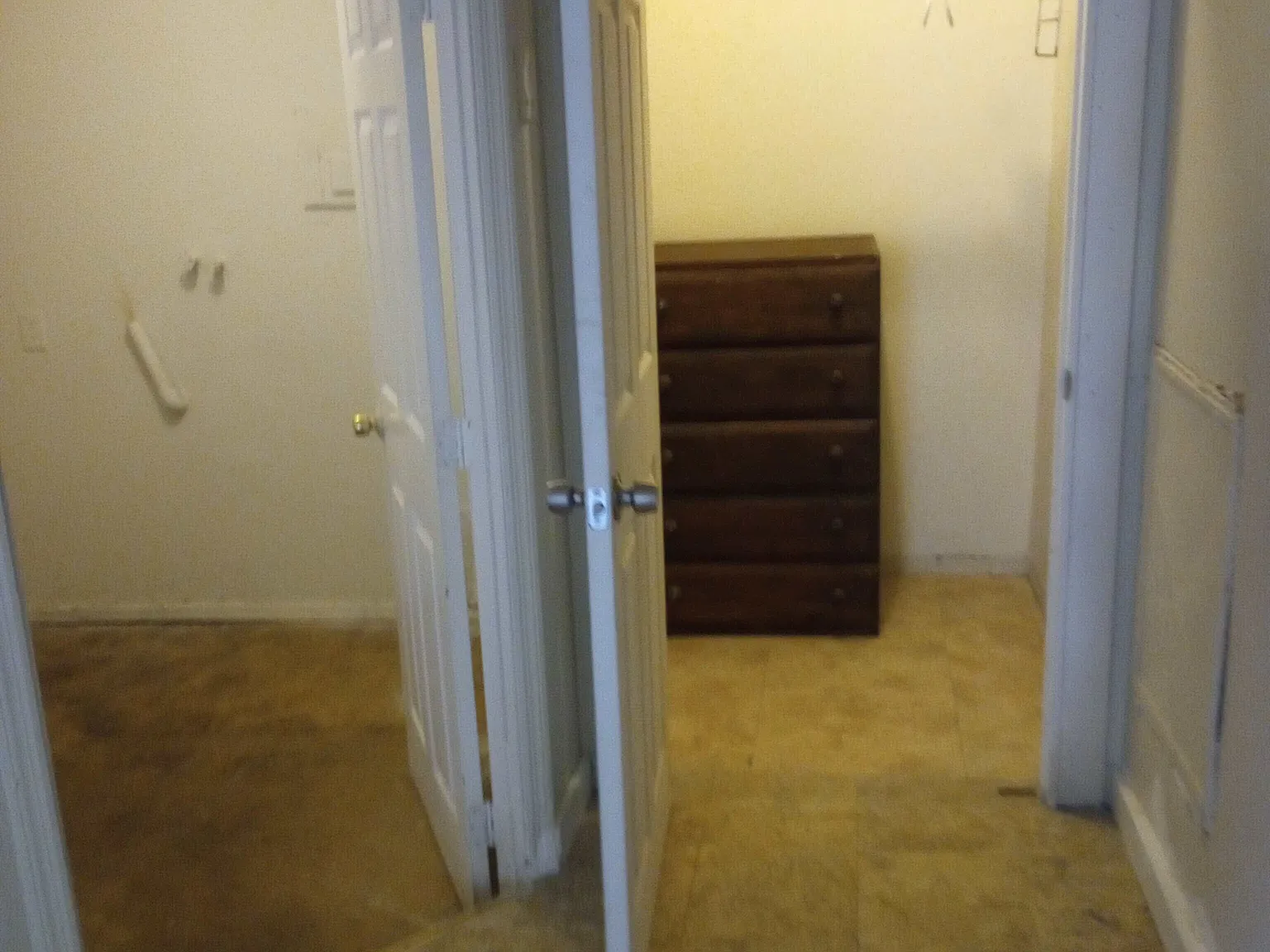 2 bed, 800 sqft, $1,250 — Photo 4