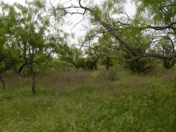 County Road 112, Baird, TX 79504