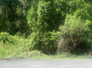 15125 Mill Pond Rd, Tavares, FL 32778