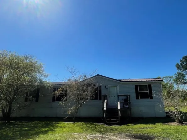 73 Thelma Ln, Willacoochee, GA 31650