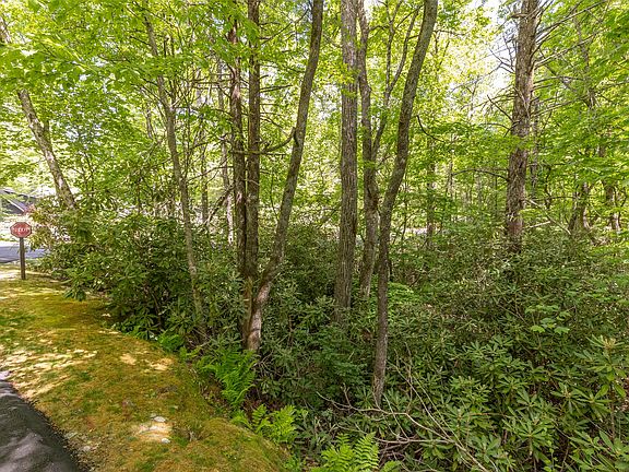 5th image of 124 Cove View Drive