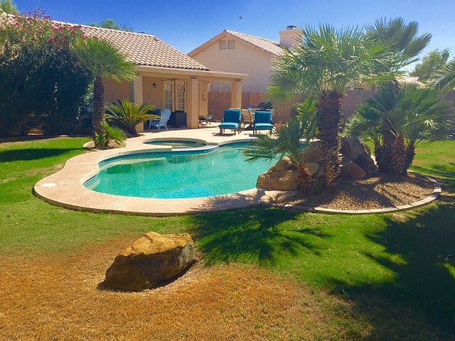 Beautiful backyard pool and spa