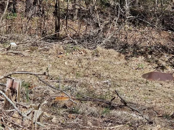 182 Mayberry Dr, Smithville, TN 37166