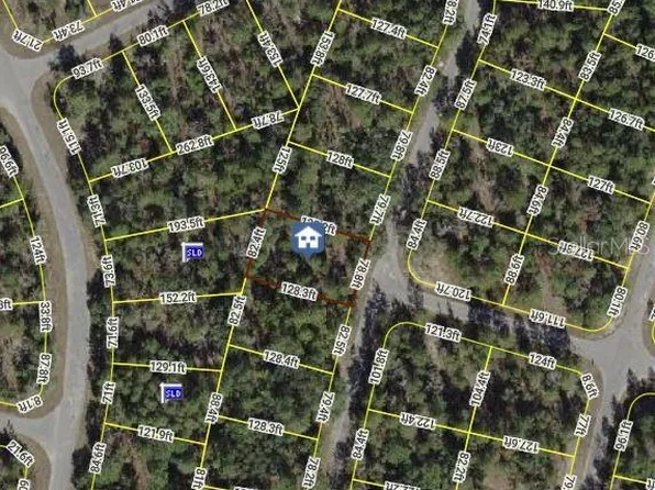 0 Fisher Crse #9, Ocklawaha, FL 32179