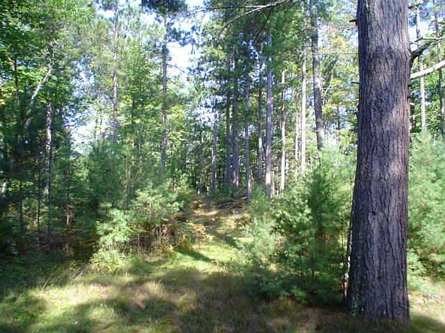 2nd image of ON E BUCKATABON RD