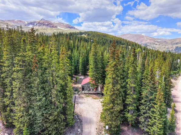 219 Ansley Avenue, Alma, CO 80440