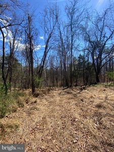 8424 Kilby Rd, Culpeper, VA, 22701