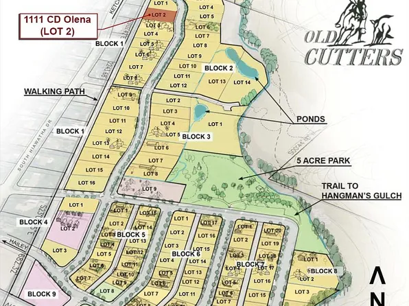 1111 Cd Olena Dr, Hailey, ID 83333