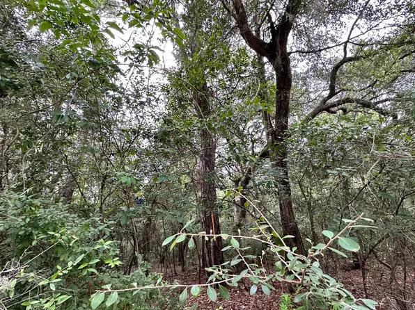 Hickory Lane Lot 36, Live Oak, FL 32060