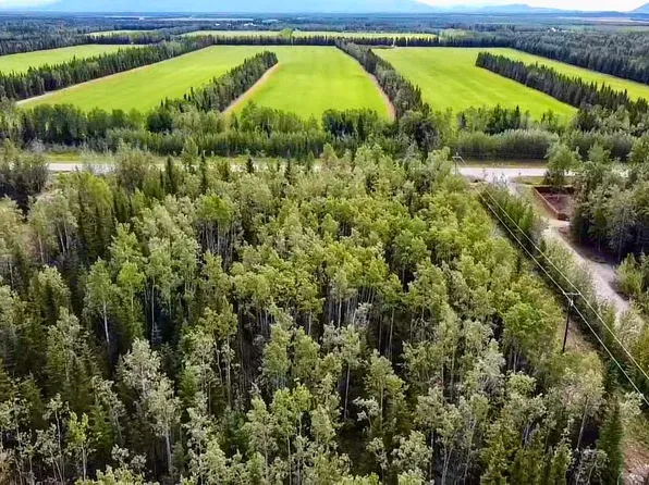 LOT 31 Remington Rd, Delta Junction, AK 99737