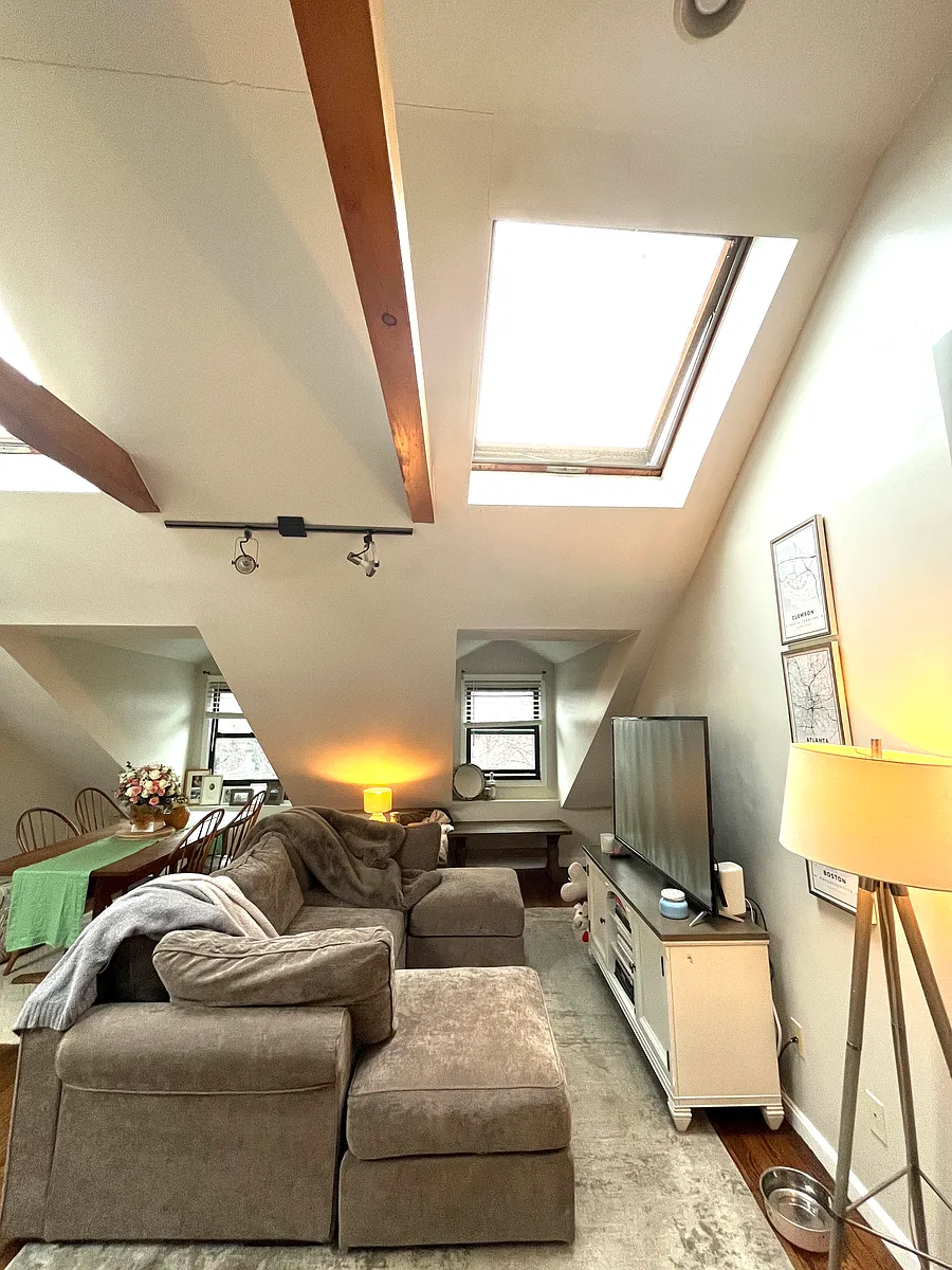 Living room area with vaulted ceilings and skylights - 10 Dwight St #3