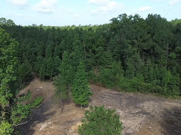4th image of TRACT 2 Leonard Chapel Rd