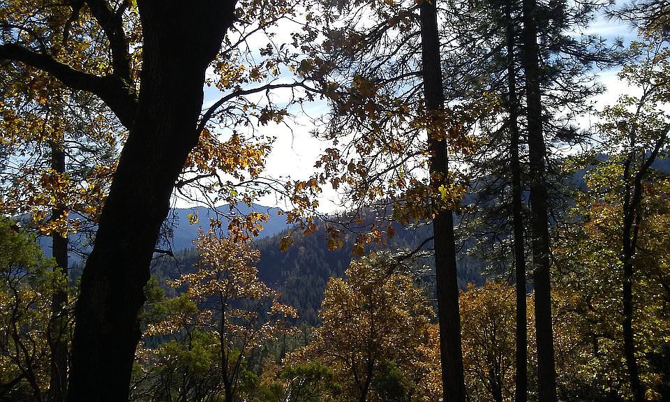 Property prior to the Delta Fire