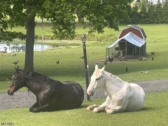 5th image of 32 Millville Road