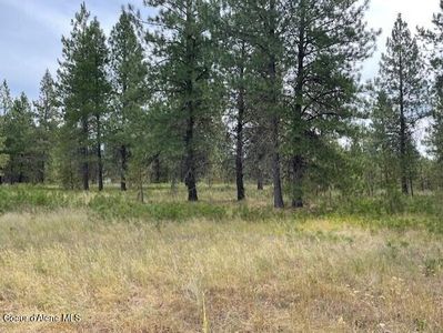 LOT 4 N Sheep Springs Rd, Athol, ID, 83801