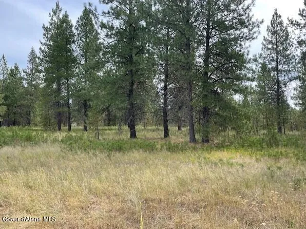 LOT 4 N Sheep Springs Rd, Athol, ID 83801