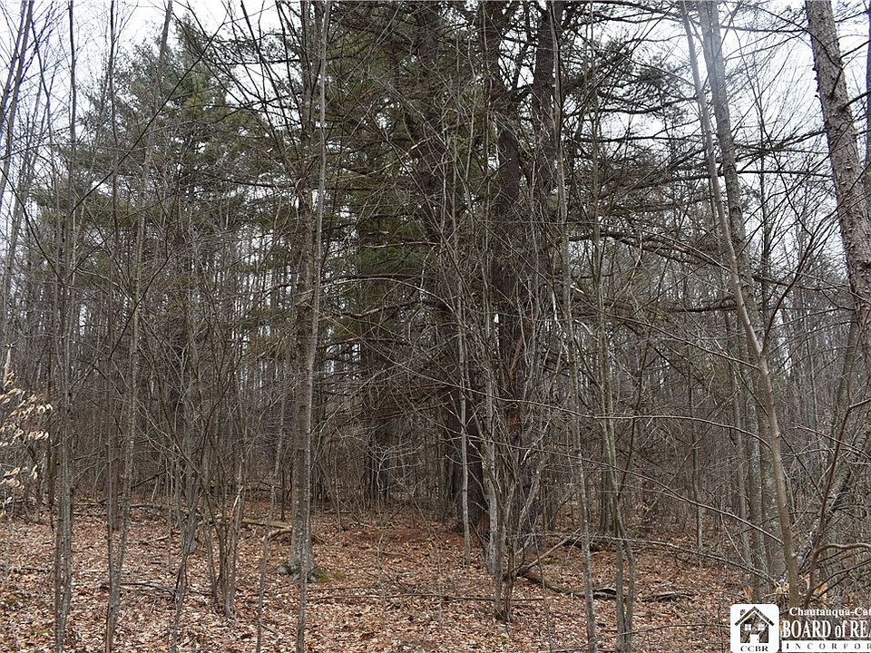 0 Skunk Hollow Rd, Little Genesee, NY 14754 MLS R1490055 Zillow