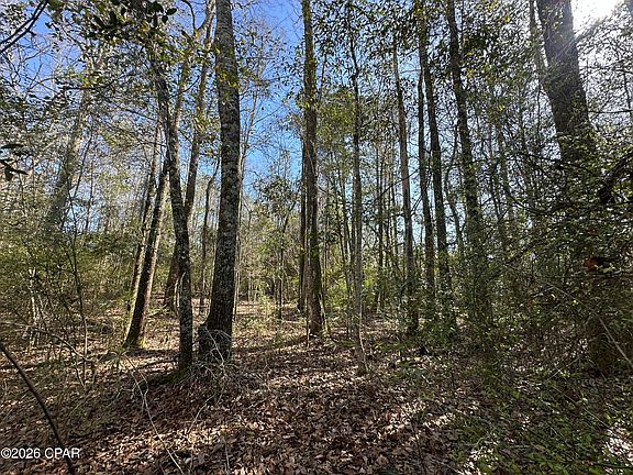 3rd image of TRACT 6317 N Harris Stevenson Rd