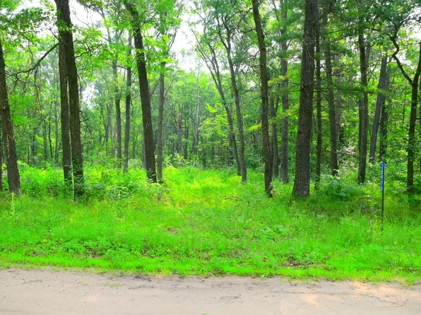 38970 Odin Ct, Browerville, MN 56438