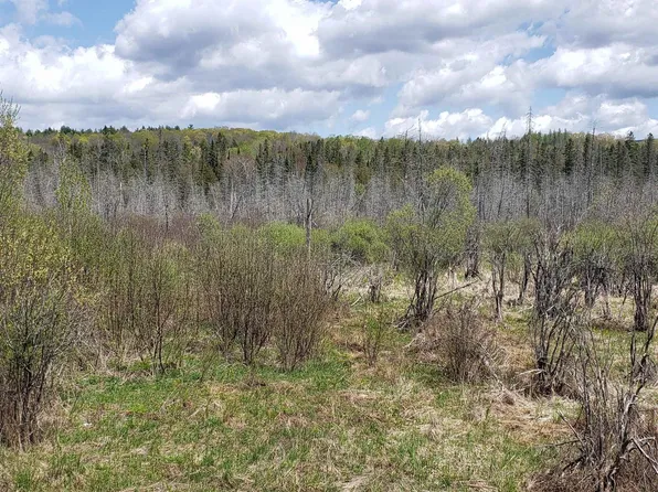 TBD VT US Route 302, Barre Town, VT 05641