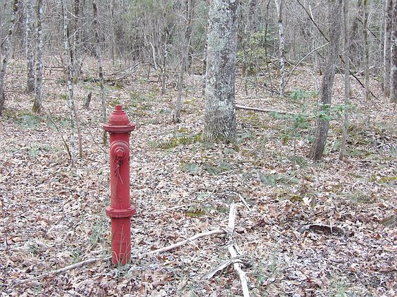 4th image of 1 Dogwood Dr #1