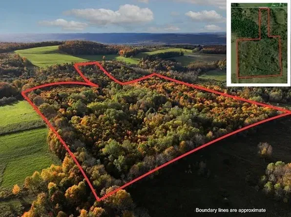 Jennison Rd Lot 8, New Berlin, NY 13411