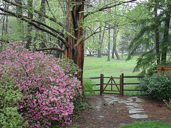 View to Greenwich Park