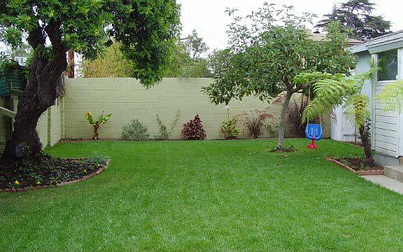 Backyard