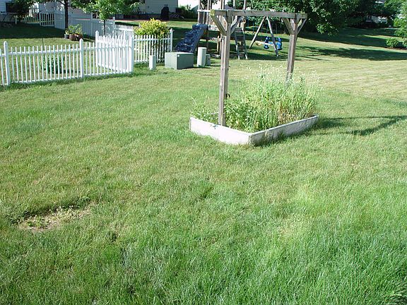 Garden Setting
