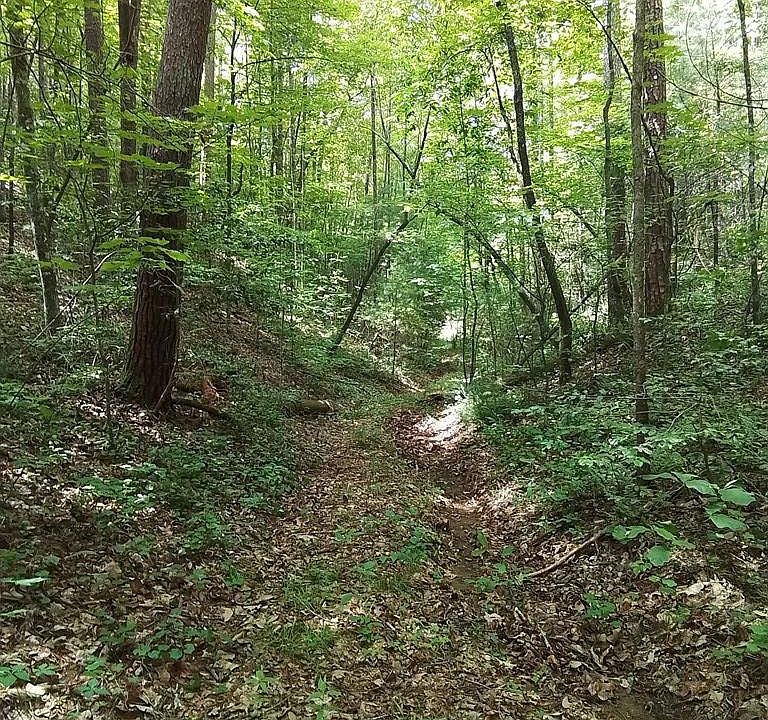 3614 Morrow Rd, Murphy, NC 28906 Zillow