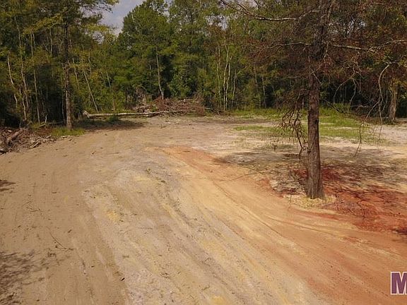 5th image of 31535 State Highway 1036